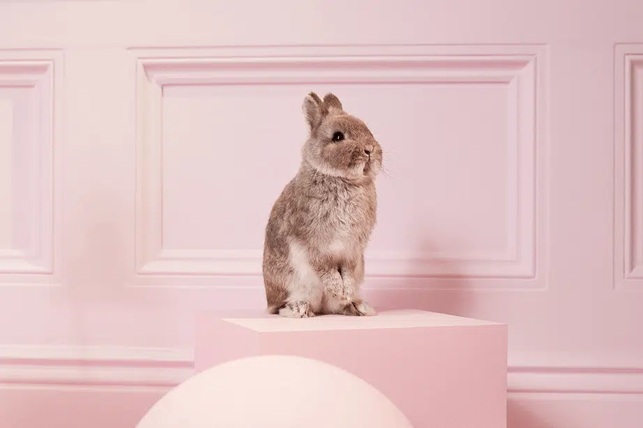 write an invoice - rabbit sat on pink cube - Oneflow